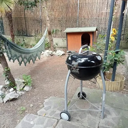 Mango House